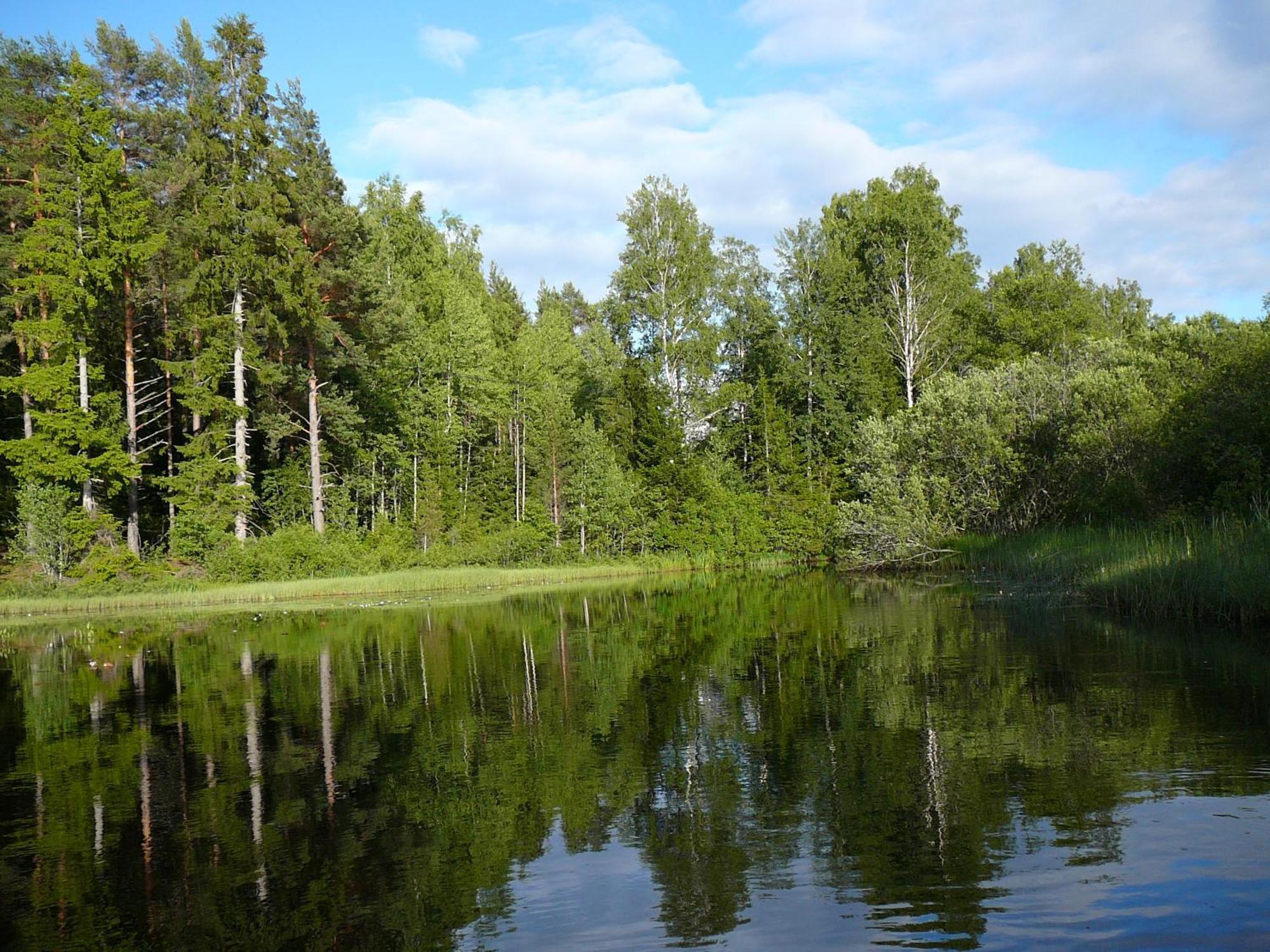 Loenneberga Vandrarhem & Hostel Luaran gambar